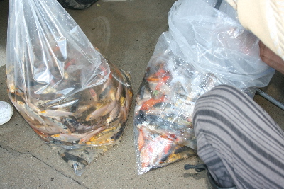 20111016 019-400.jpg